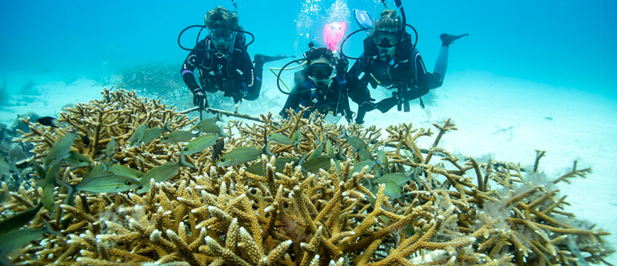 Grupo Iberostar recibe el premio ‘Eco Trophea’ 2021